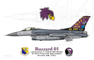 510th Fighter Squadron - "Buzzard 01" - Aviano AB