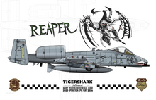 Epic Fury A-10s - 75th Fighter Squadron Hawgs at War