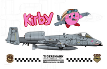 Epic Fury A-10s - 75th Fighter Squadron Hawgs at War