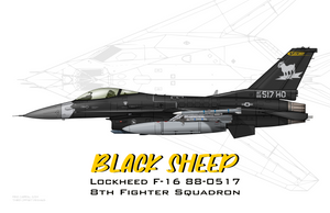 8th Fighter Squadron - Nighthawk Tribute