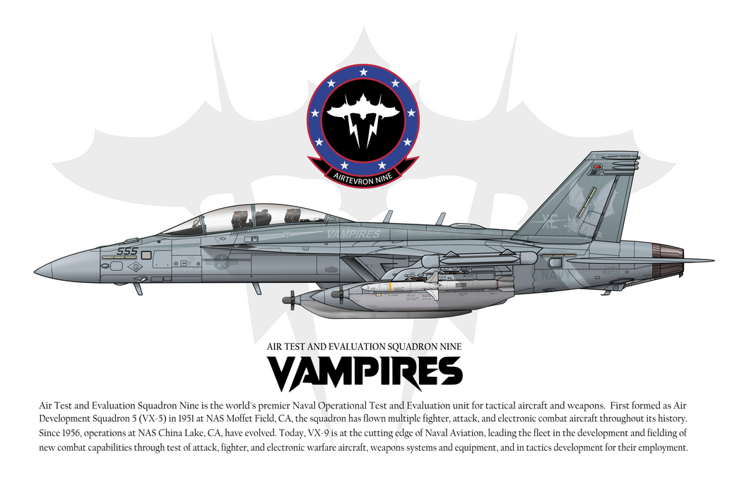 VX-9 Vampires - EA-18G Growler