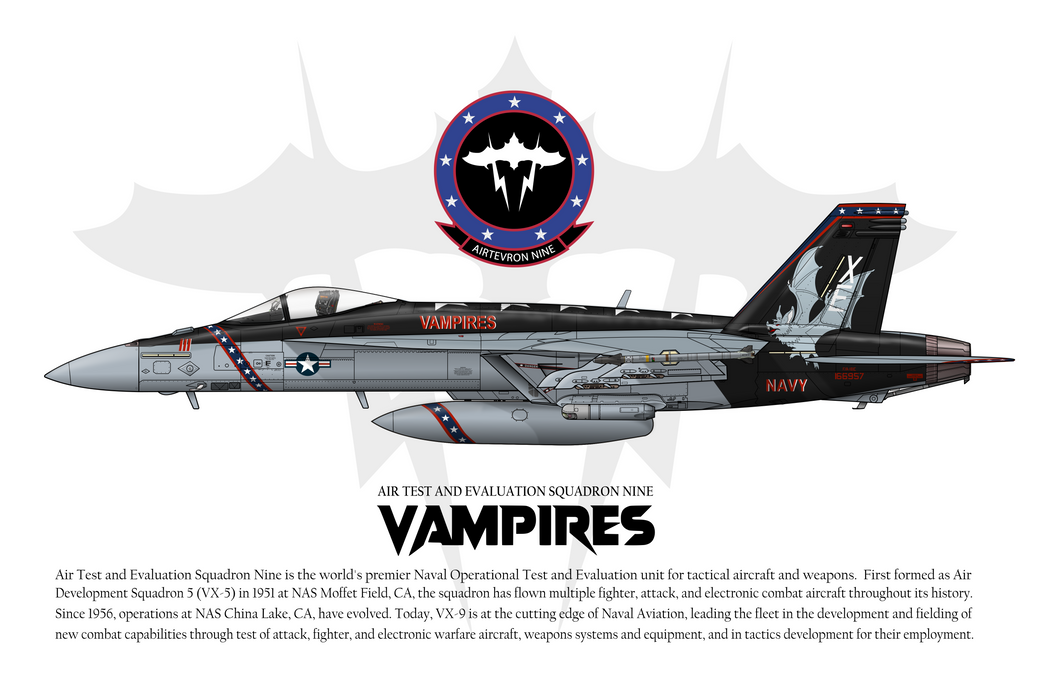 VX-9 Vampires - F-18E