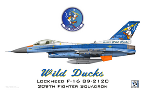 309th Fighter Squadron - Heritage Flagship