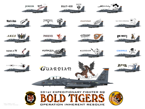 391EFS - Bold Tigers - OIR