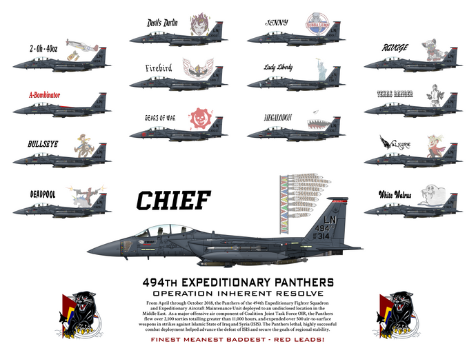 494th Expeditionary Panthers