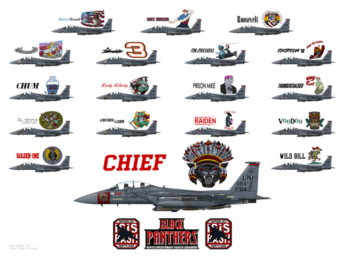 494th Panthers 2021 deployed nose art, featuring 18 different aircraft with distinctive nose art, mission markings, and nicknames