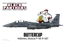 494th Fighter Squadron - OIR IRF maquette