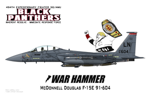 494th Fighter Squadron - OIR IRF maquette