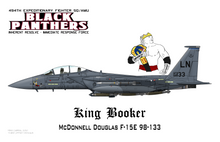 494th Fighter Squadron - OIR IRF maquette