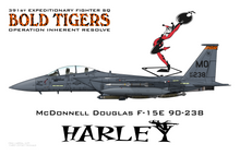 391st Bold Tigers - Maquette Print