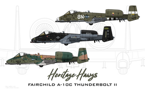 A-10 Heritage Hawgs
