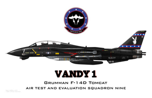 VX-9 - Vandy One - F-14D